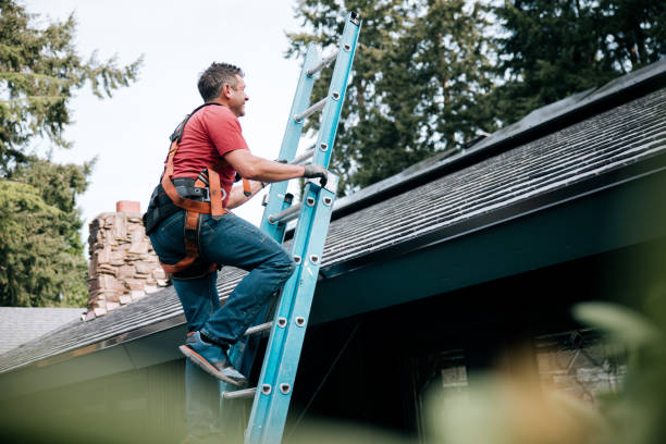 Best Green or Eco-Friendly Roofing Solutions  in Rson, CA